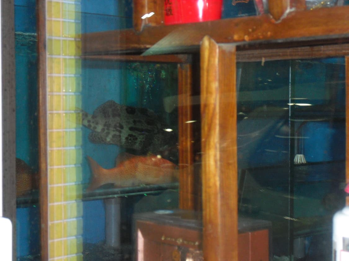 카시오 Exlim EX-z1 퍼플 디카 빈티지 상품이미지3