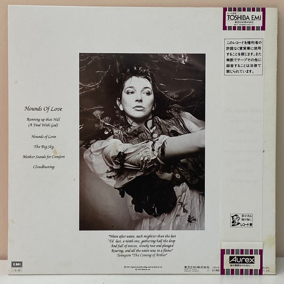 (LP-초민트시리즈) Kate Bush - Hounds Of Love 상품이미지2