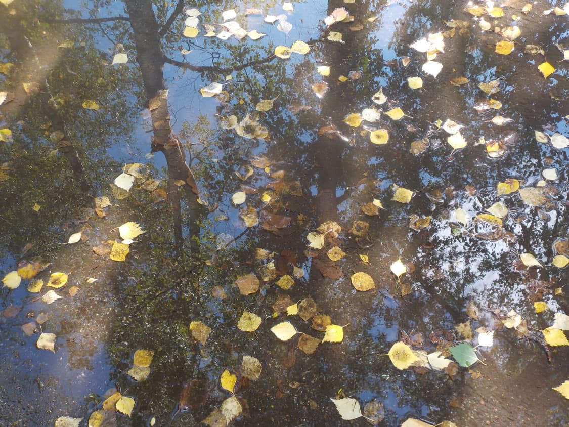 [찰스엔터픽!] 니콘 Coolpix W100 화이트마린 디지털카메라 상품이미지10