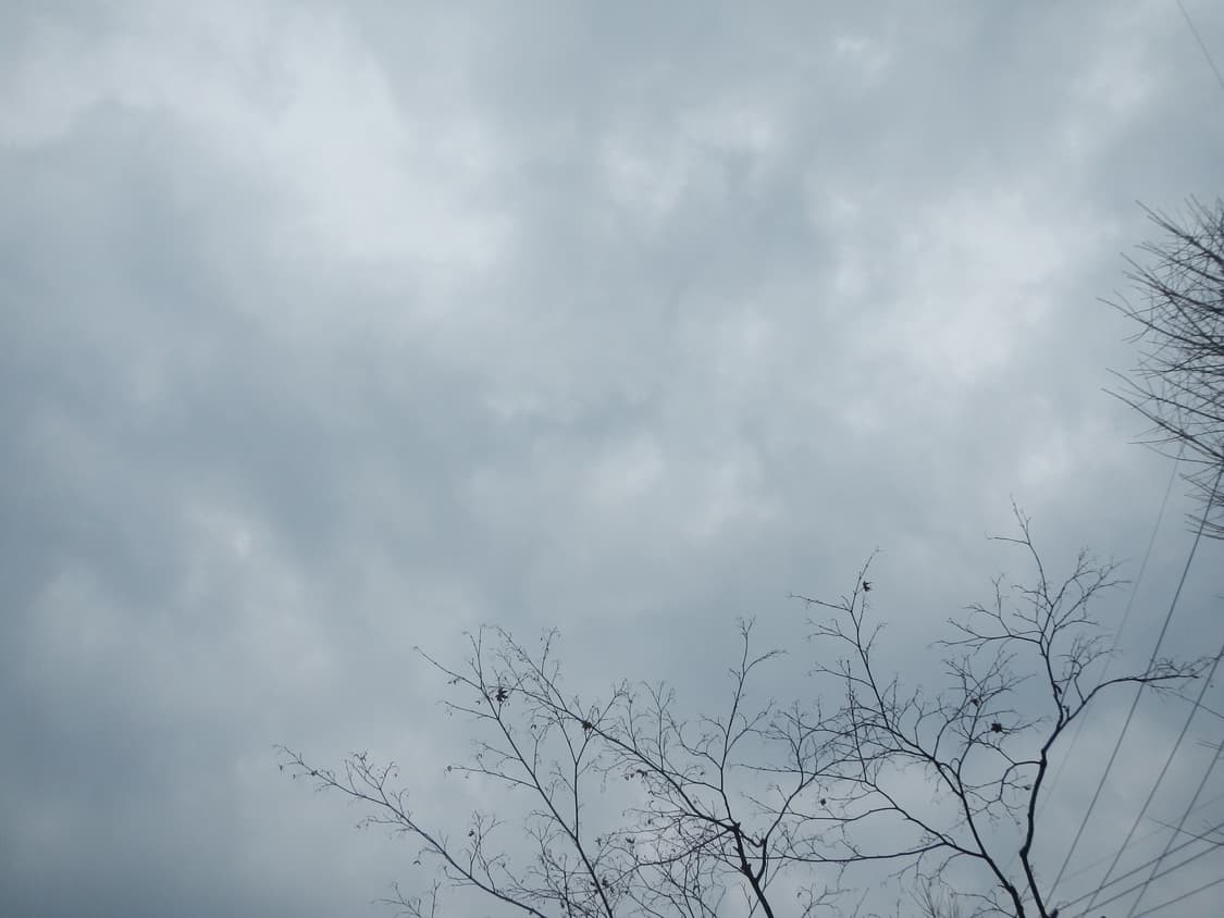 니콘쿨픽스s100디카 상품이미지7