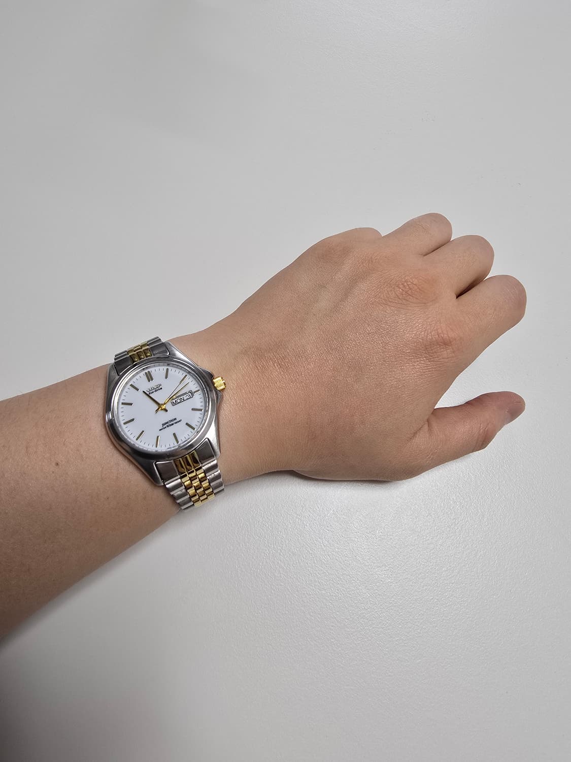 시티즌 에코드라이브 junction 데이데이트 콤비 상품이미지5