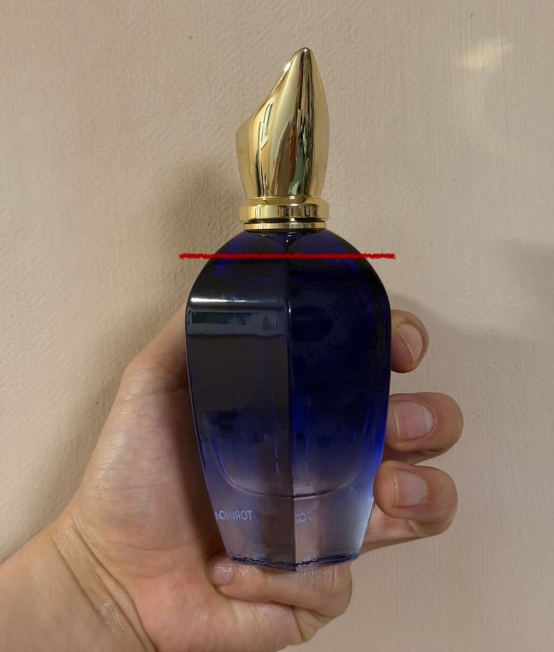 [국문택 정품] 제르조프 토리노21 100ml 상품이미지2