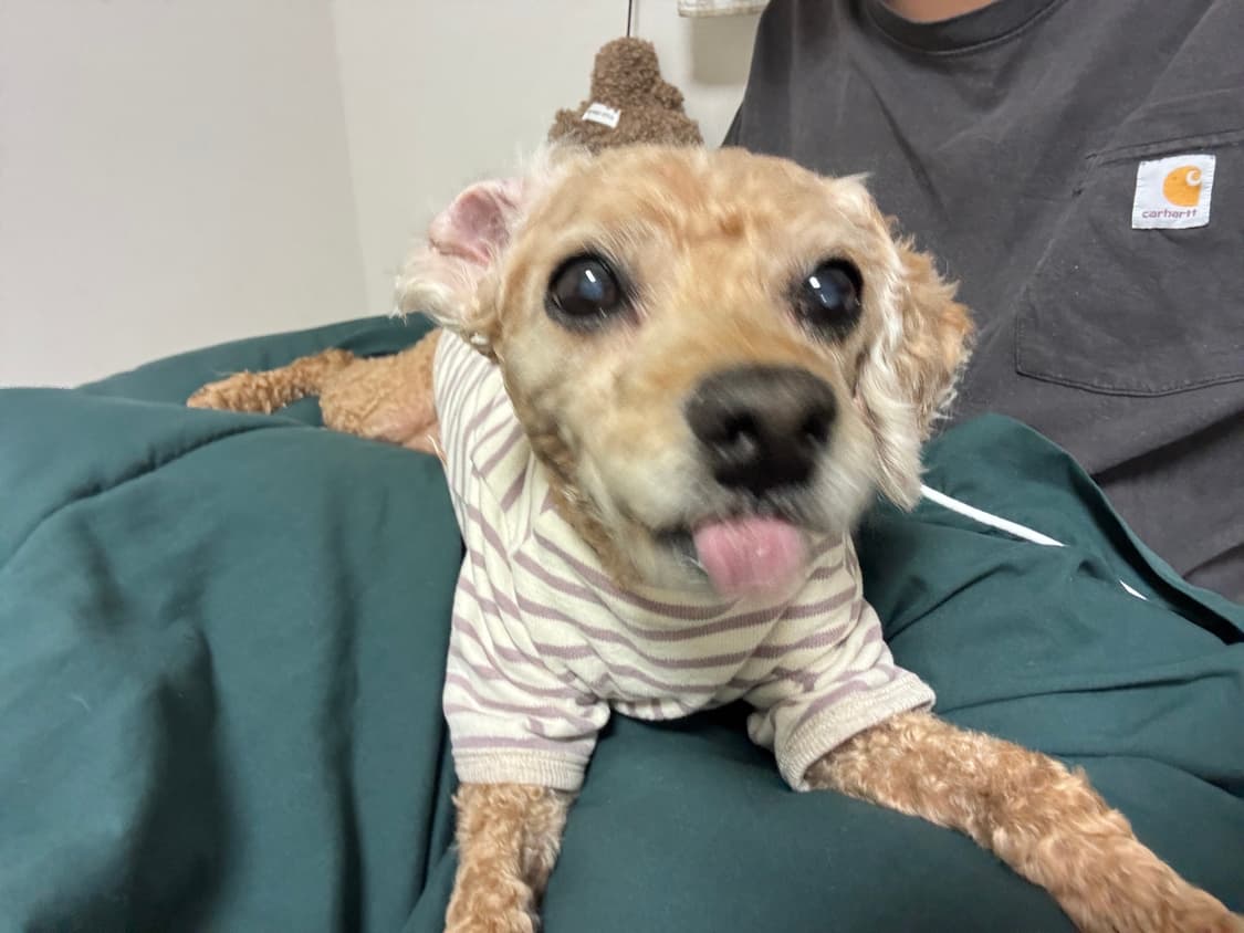 85 노스페이스700  상품이미지5