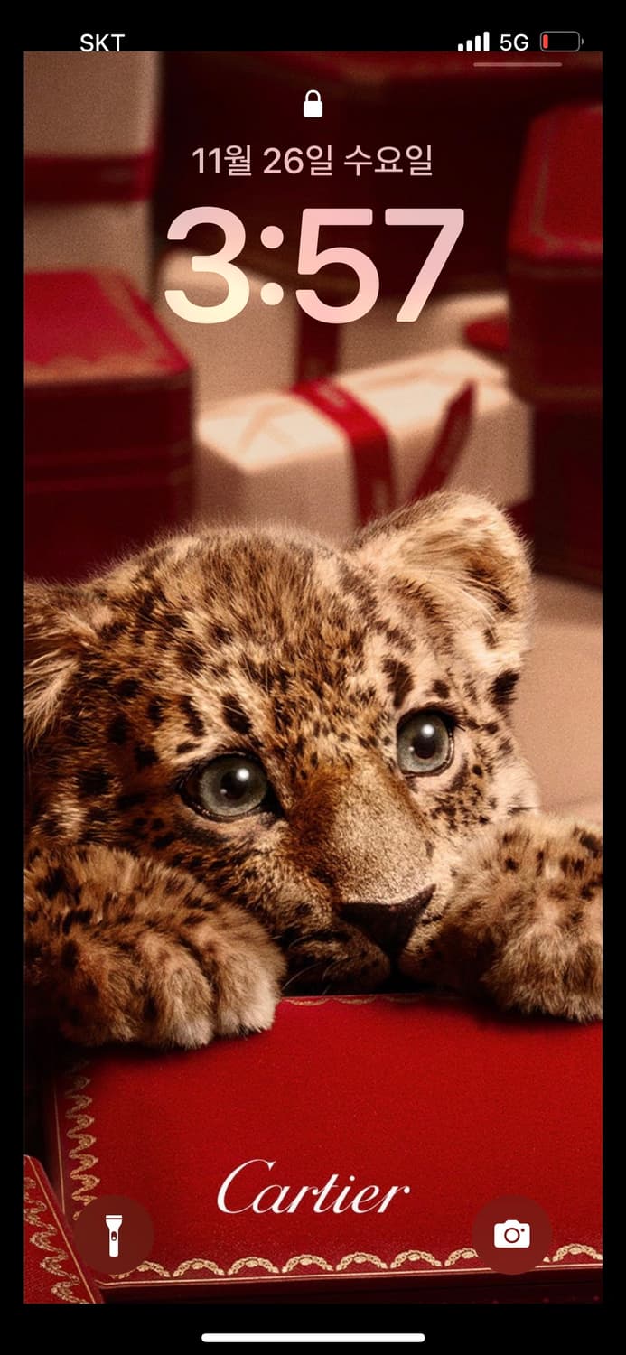 xoxoxosm님 결재창 상품이미지1