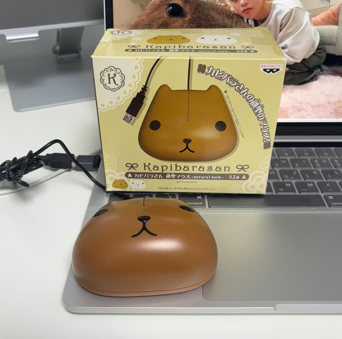 카피바라상 마우스 상품이미지2