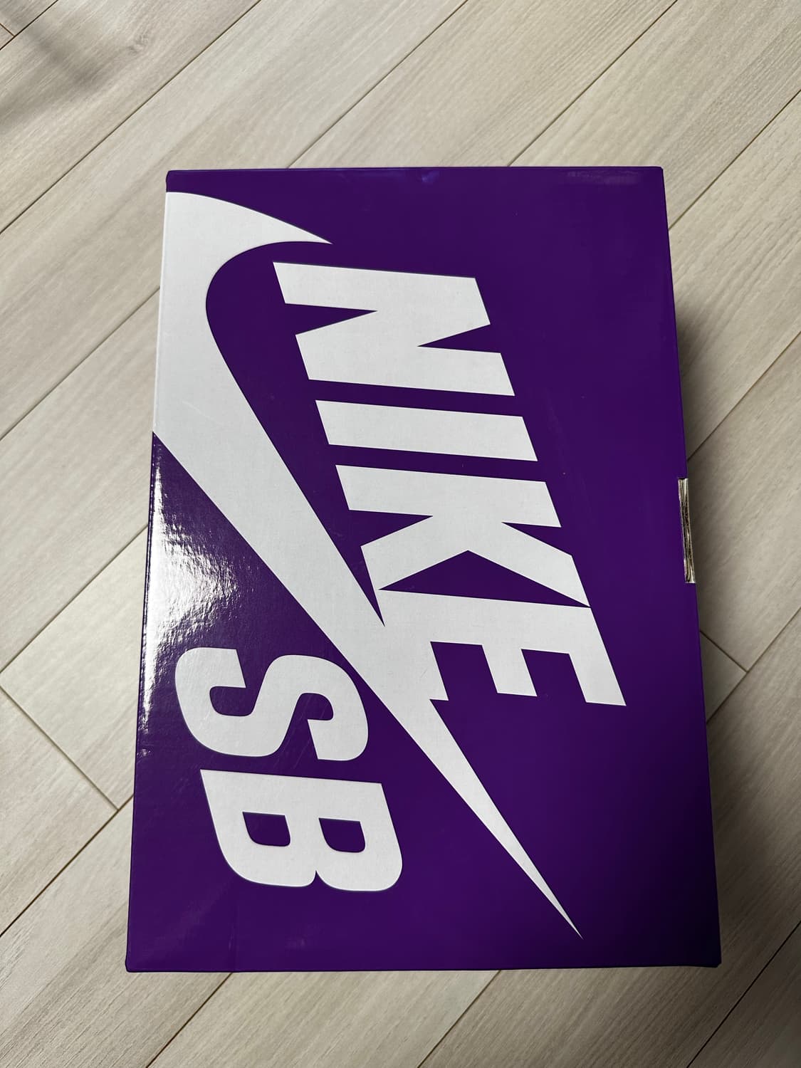 베어브릭 x 나이키 SB 2020 100% & 400% 세트 상품이미지3