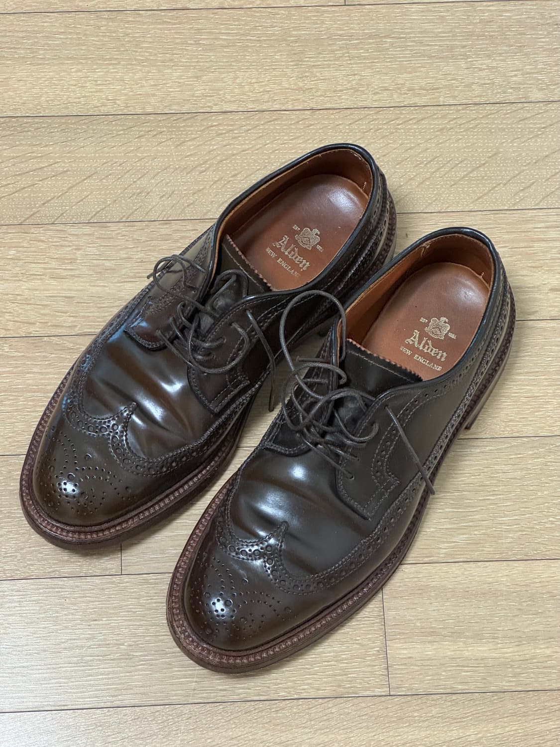 알든 시가쉘 코도반 롱윙  상품이미지1