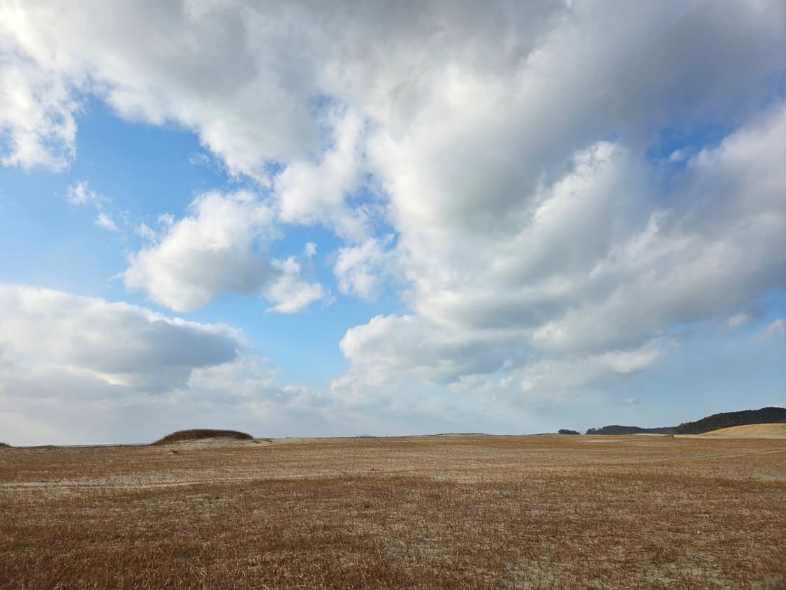 나이키 자크뮈스 문슈 앨러배스터 295 상품이미지5