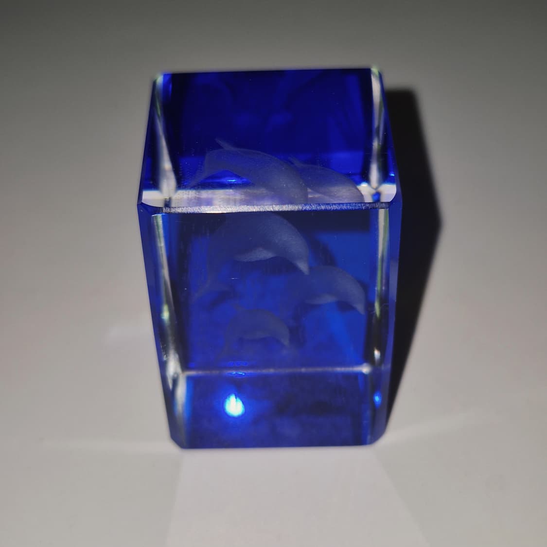 90s 크리스탈 유영 돌고래 3D 오브제 상품이미지7