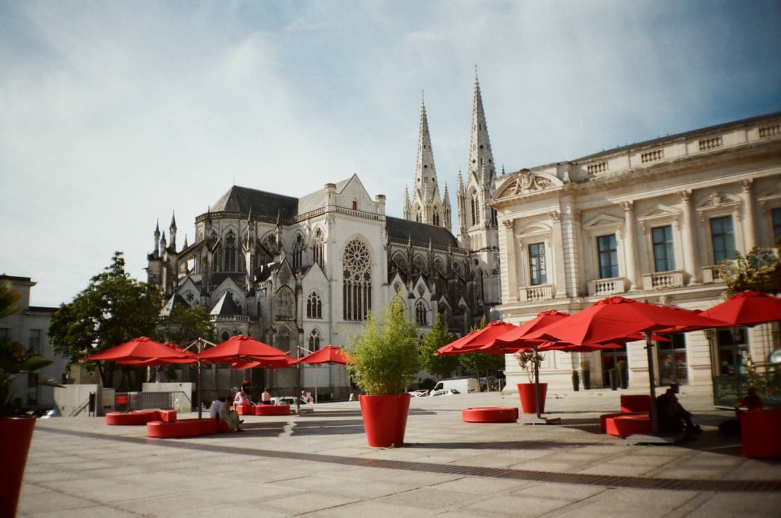 작례O P&S 입문 추천 삼성 프리샷 3 필름카메라 빈티지 필카 상품이미지3