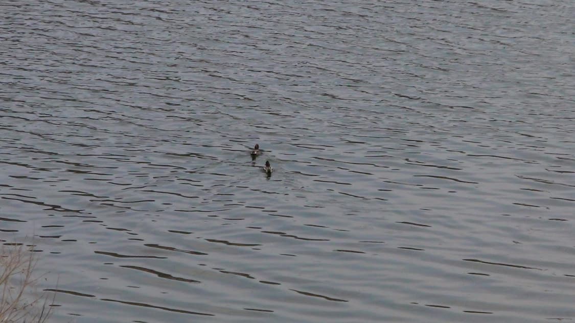 SONY HDR-TG1 (제니 캠코더) / 맨 뒤 작례 상품이미지5