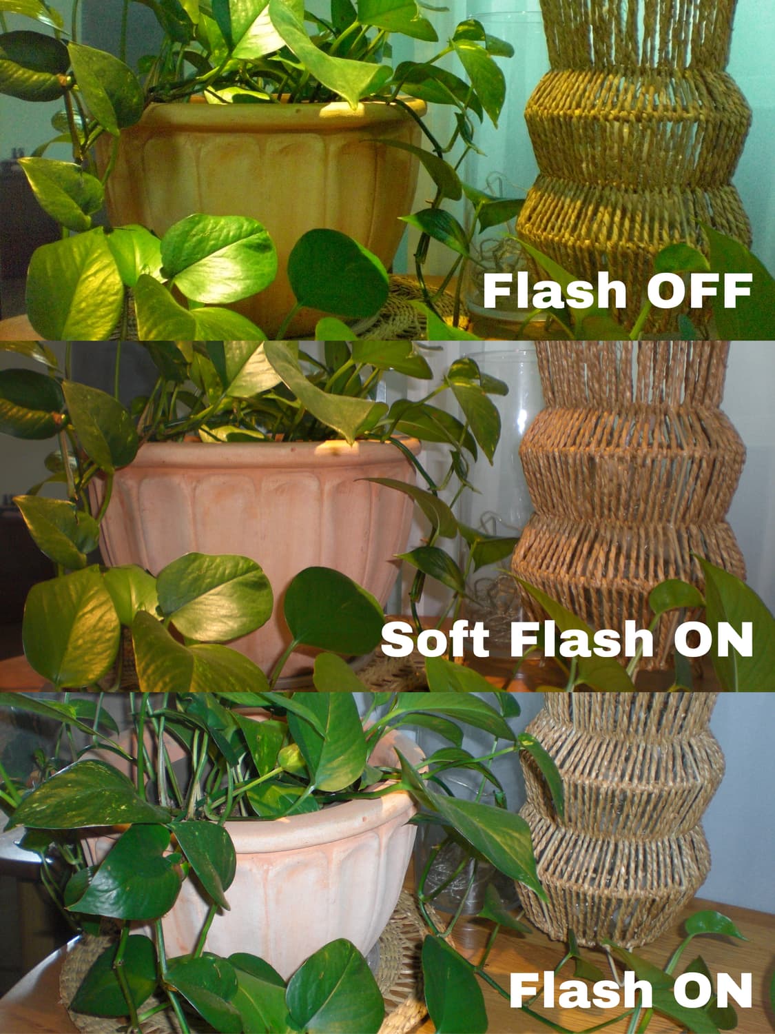 [작례 O] 카시오 엑슬림 EX-Z77 빈티지 디카 상품이미지10