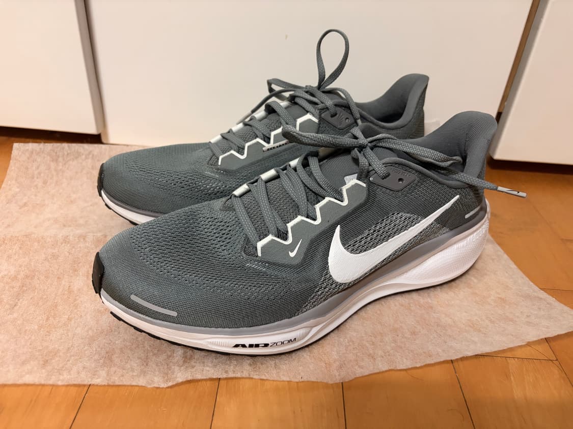 나이키 에어 줌 페가수스 41 쿨그레이 (사이즈 290) 상품이미지1