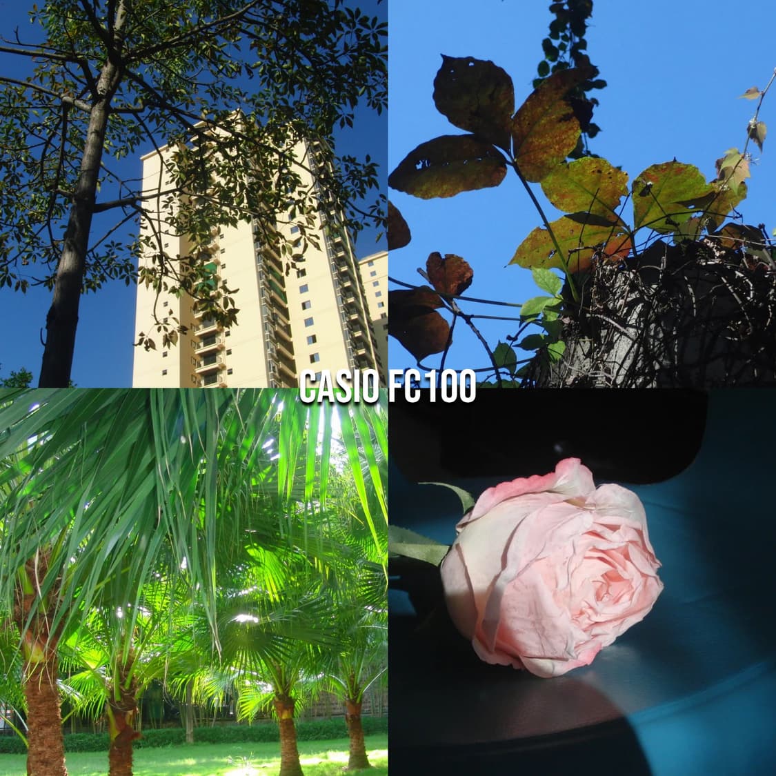 작례⭕️ 카시오 엑슬림 Casio Exilim EX-FC100 실버 디카 상품이미지2