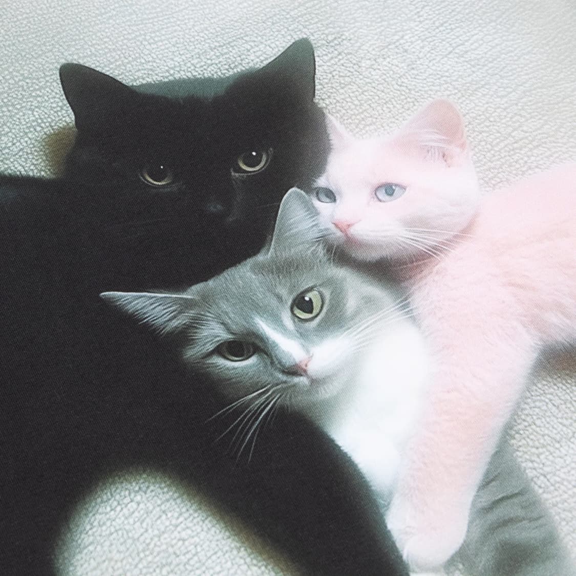 [XS,S]애슐리 윌리엄스 25fw KITTEN TRIO 고양이 티셔츠 상품이미지3