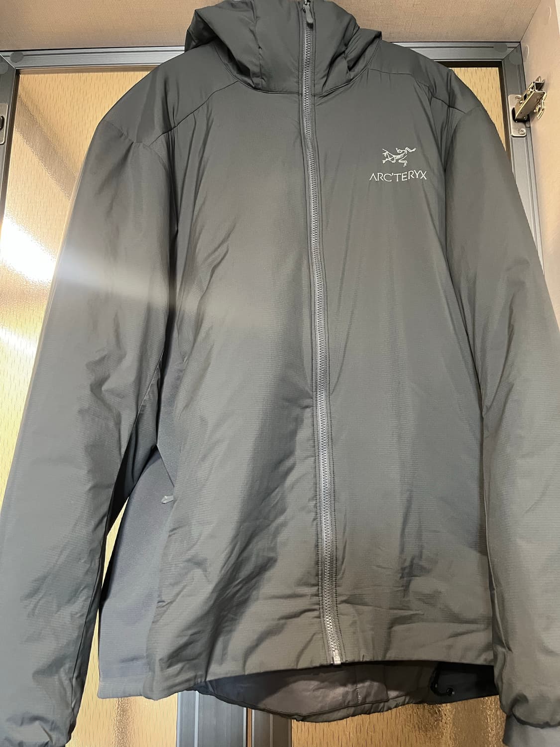 아크테릭스 아톰lt 후디 상품이미지1