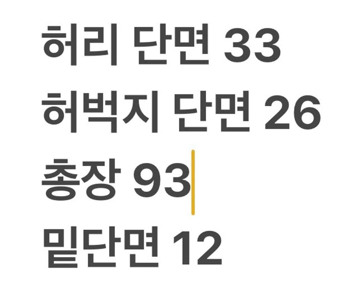 [정품/70] 내셔널지오그래픽 블랙 카고 바지 b10 상품이미지7
