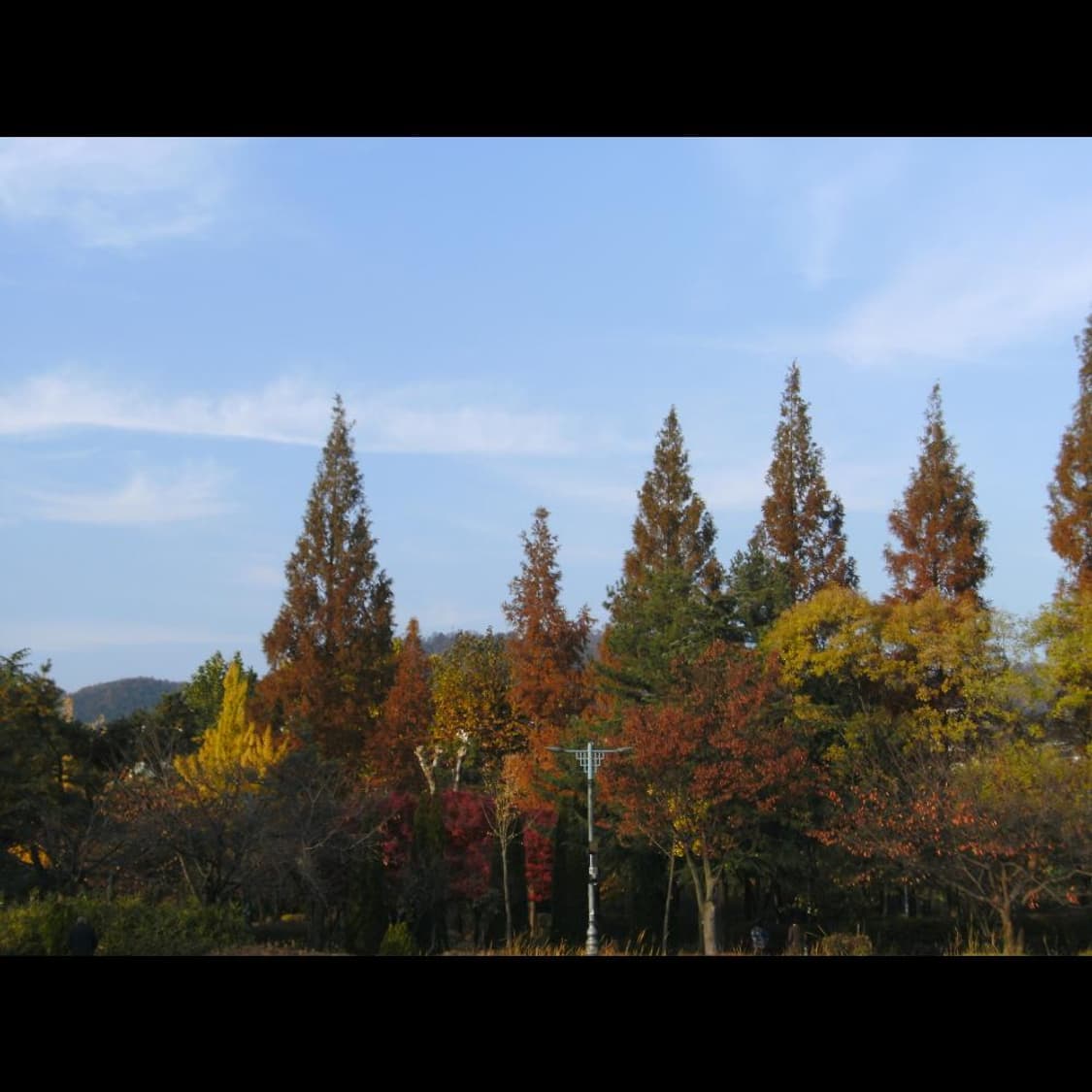 히타치 HDC-1241 + 박스  메탈릭 실버 빈티지 디카 디지털카메라 상품이미지5