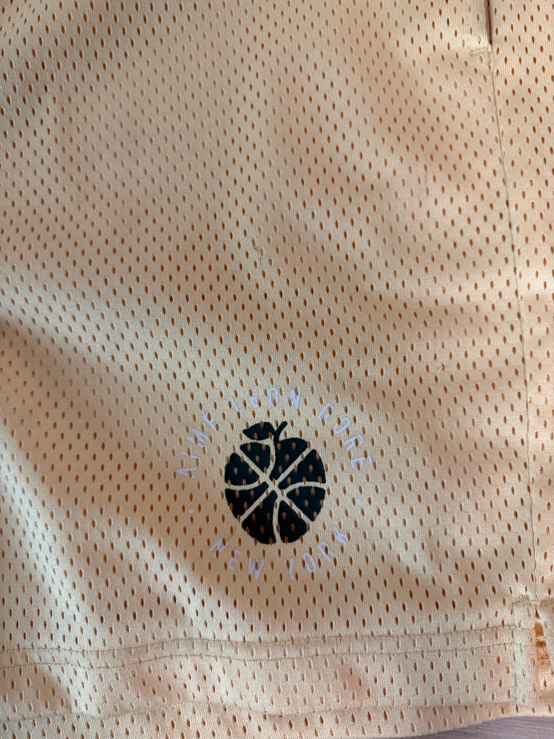 에임레온도르 X 뉴발란스 반바지 XL 상품이미지3