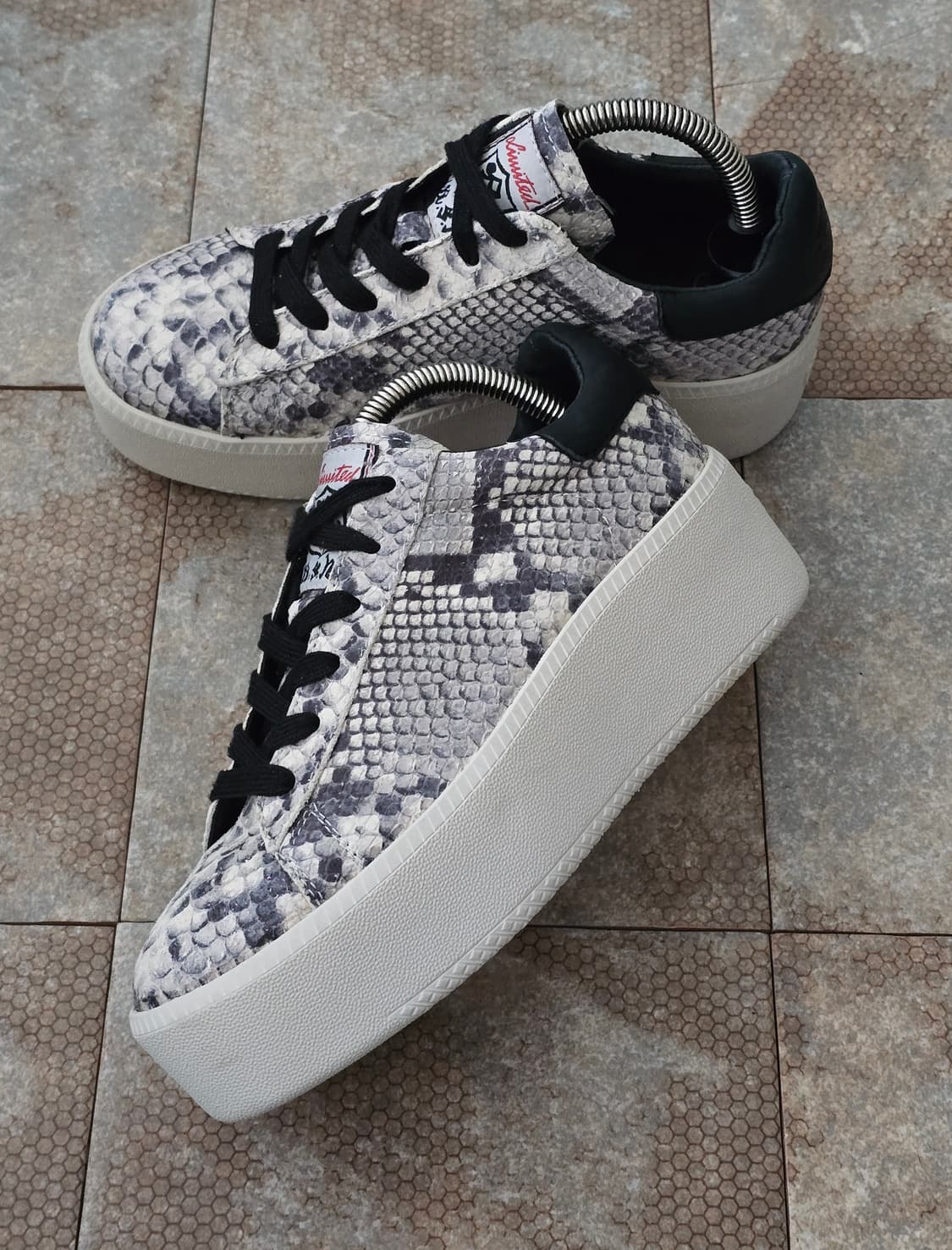 (240)아쉬 컬트  상품이미지3