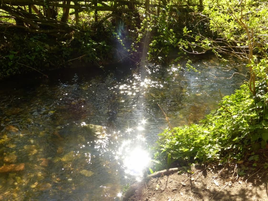 희귀&작례O) NIKON  COOLPIX 니콘 쿨픽스 S6100 디카 상품이미지2