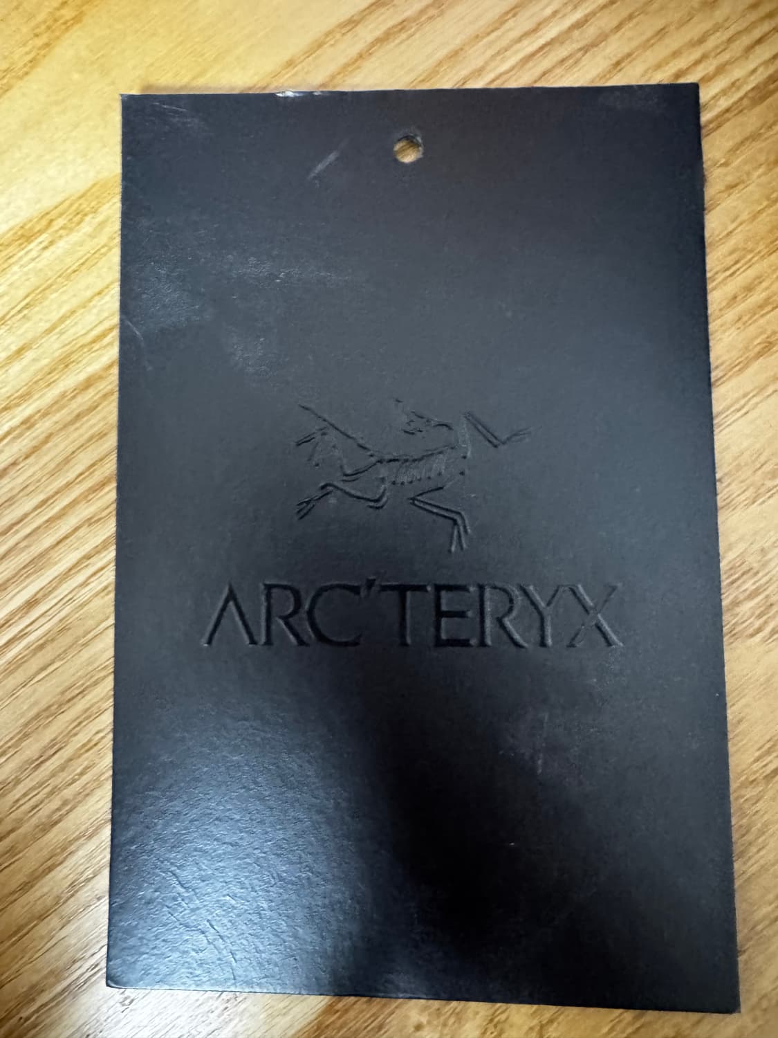 아크테릭스 스쿼미시 L 상품이미지4