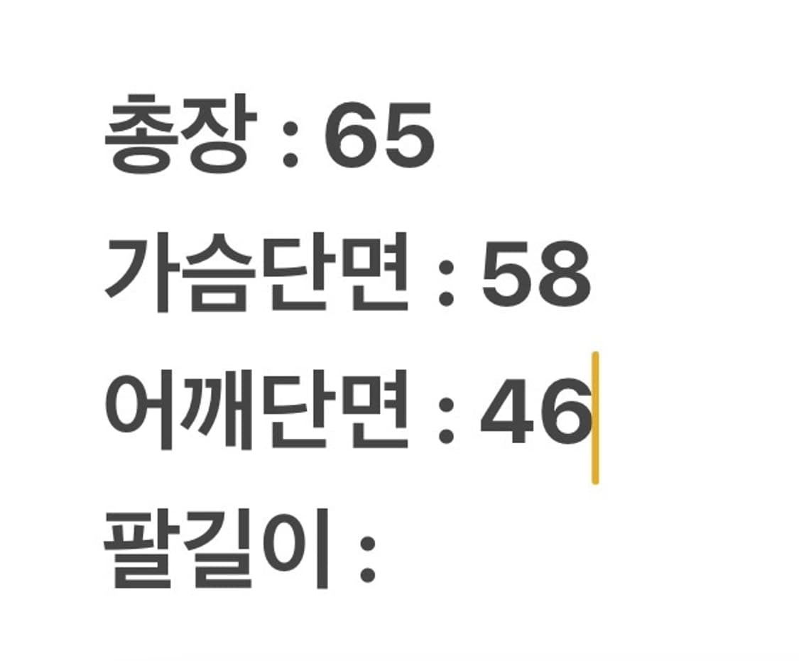 (정품/105) 노스페이스 써밋 베스트 상품이미지5