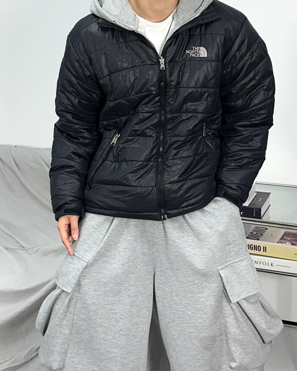 노스페이스 유광 경량패딩 L 상품이미지2