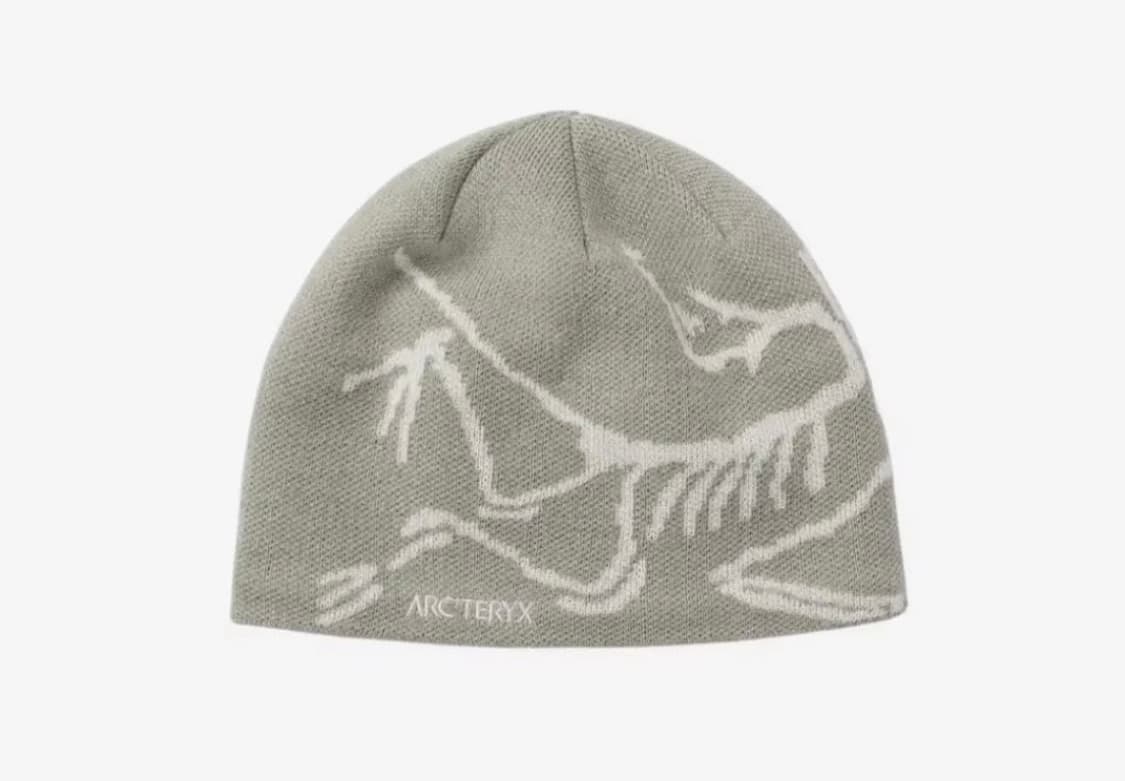 아크테릭스 비니 상품이미지2