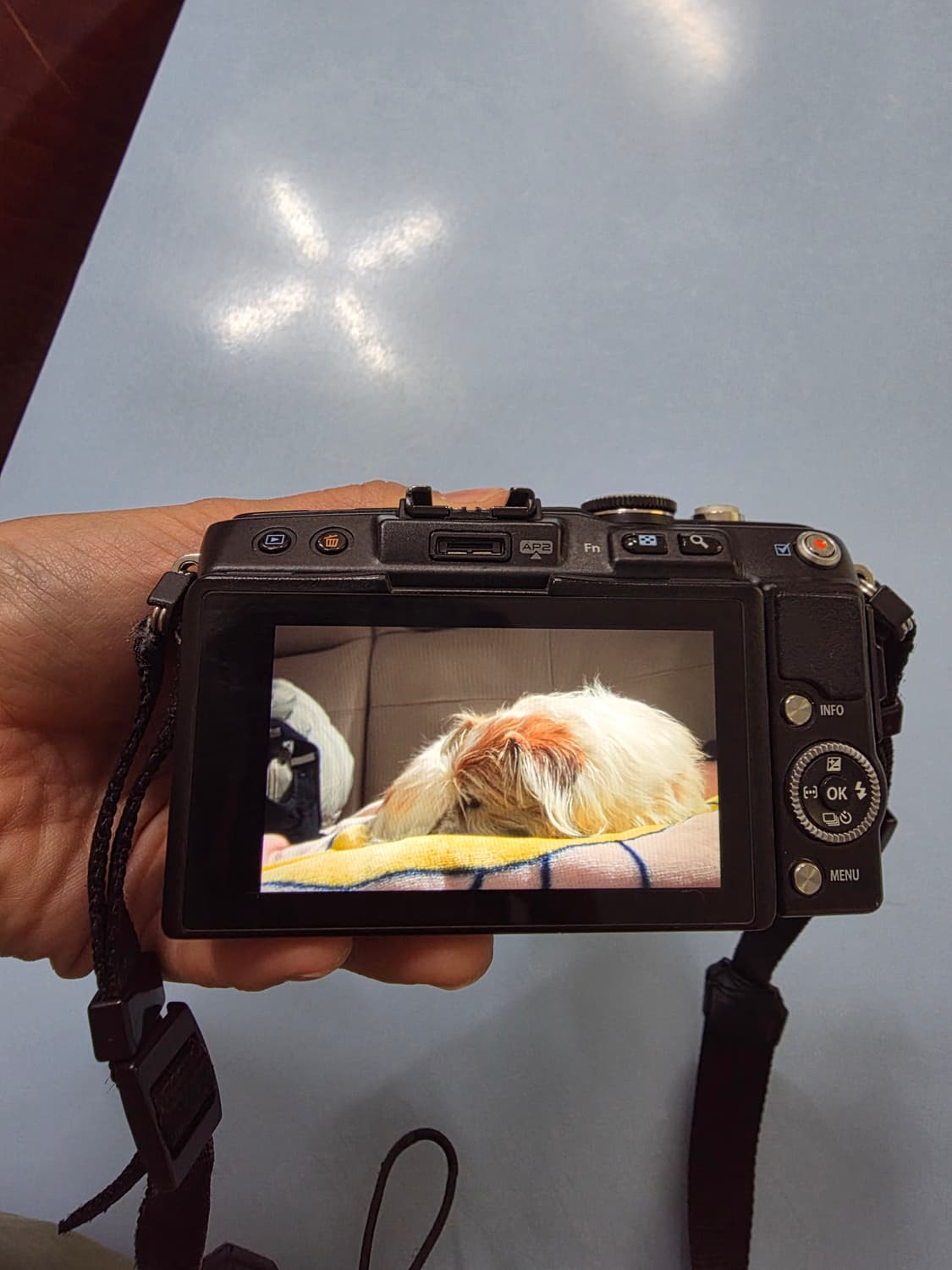 올림푸스 PEN E-PL5 블랙 + 14-42mm  번들렌즈  상품이미지5