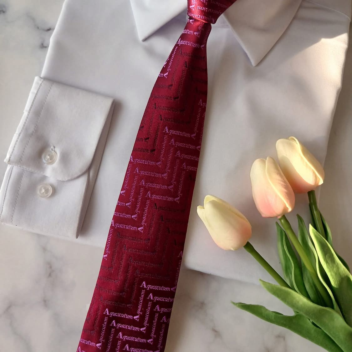 아쿠아스큐텀 실크 로고 자카드 넥타이 8.7cm A+등급 A19114
 상품이미지5