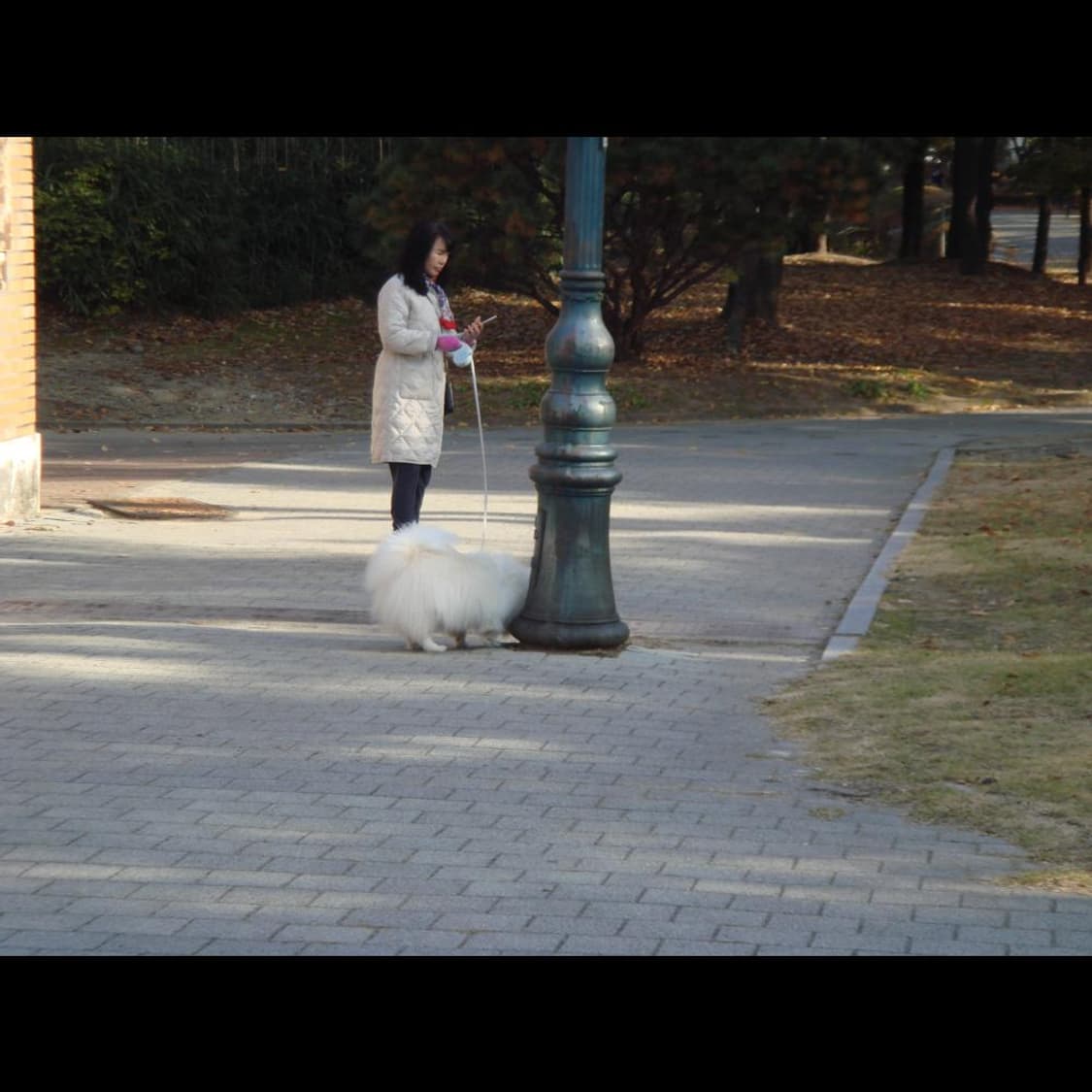 작례⭕️ 소니 DSC-T10 빈티지 디카 디지털카메라 상품이미지4