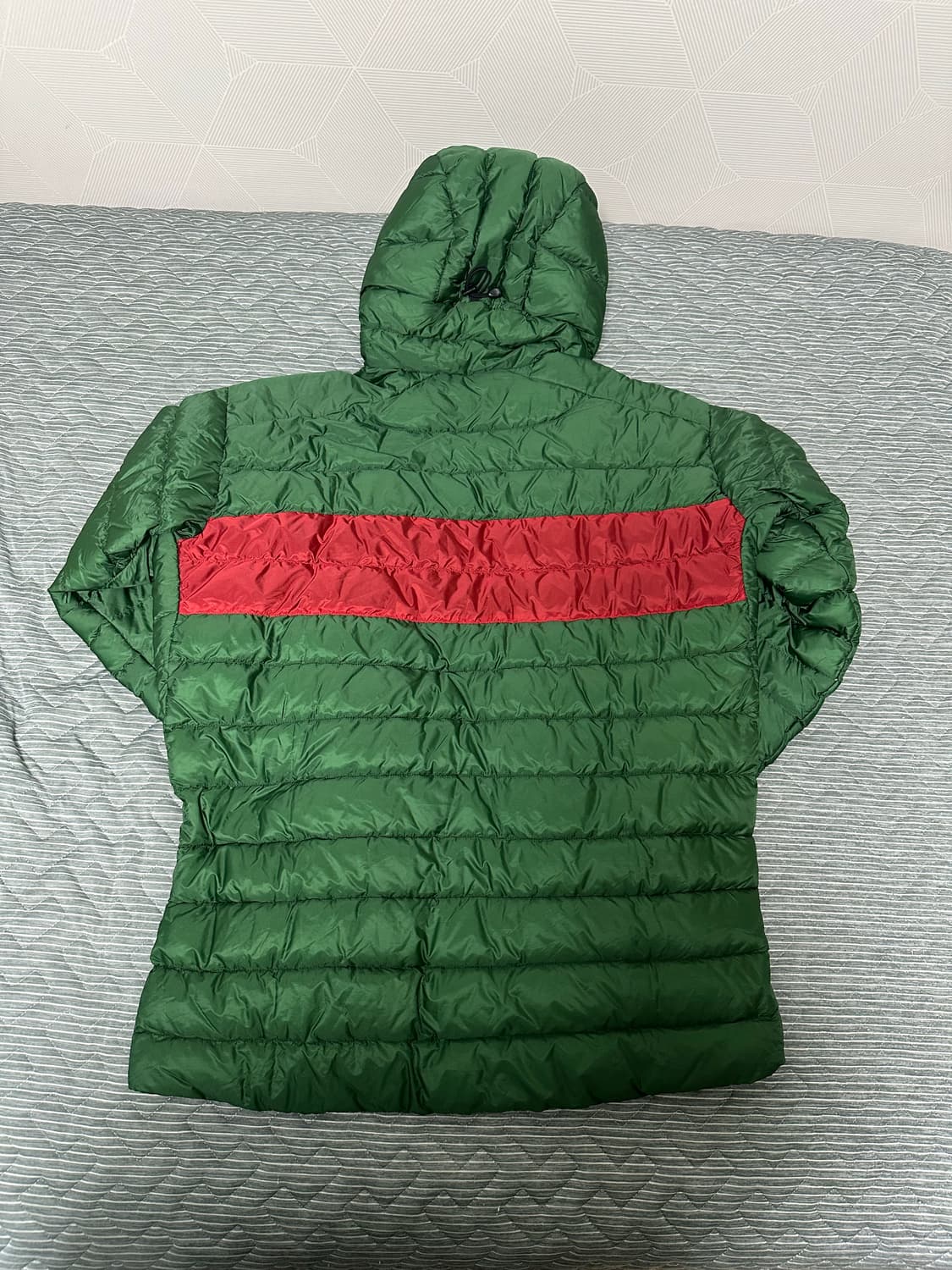 아크테릭스 세륨 lt 후디 (리기어) 상품이미지2