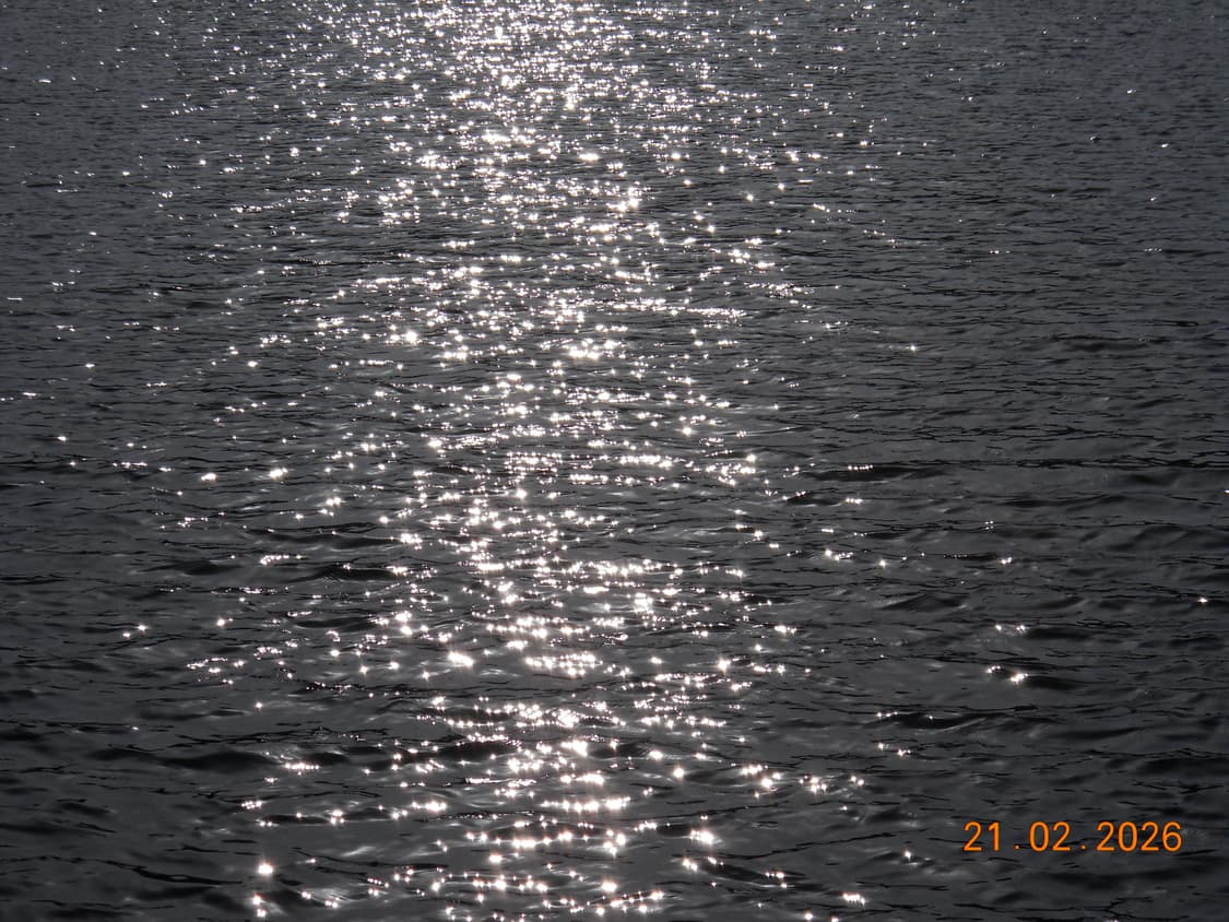 Nikon COOLPIX L22 블랙 (작례O) 상품이미지7