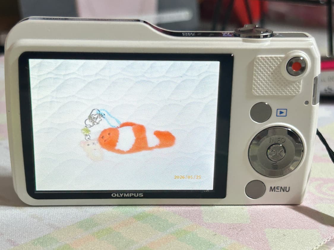 올림푸스 VG-170 디지털카메라 판매합니다 📸🤍 상품이미지6