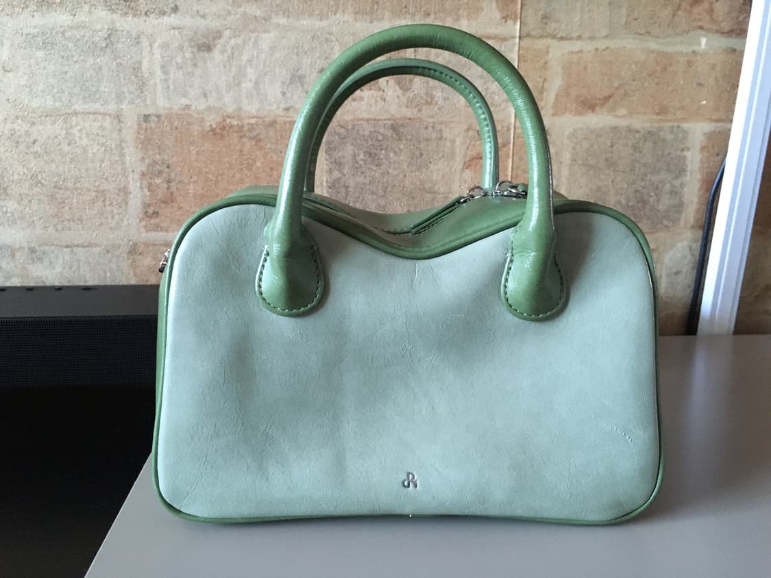 디어니스 패네백 상품이미지3