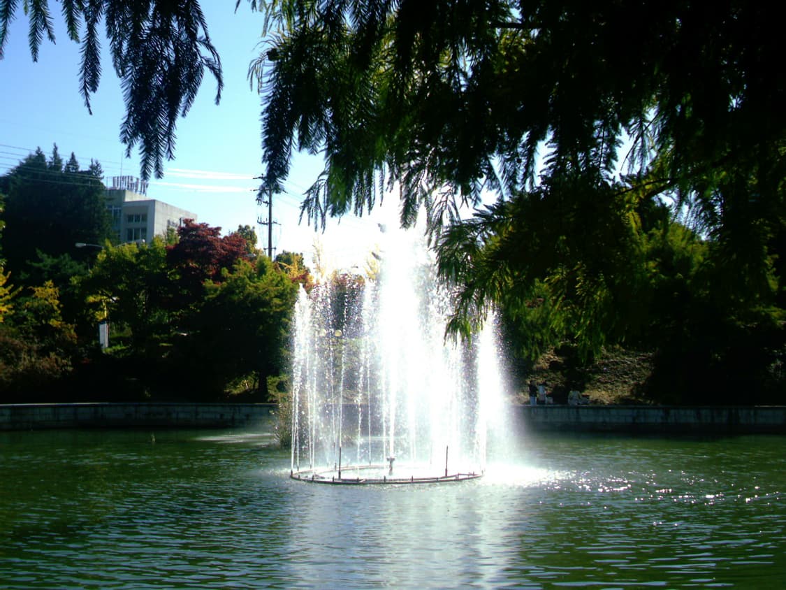 비비타 비비캠 vivitar vivicam 3785 상품이미지10