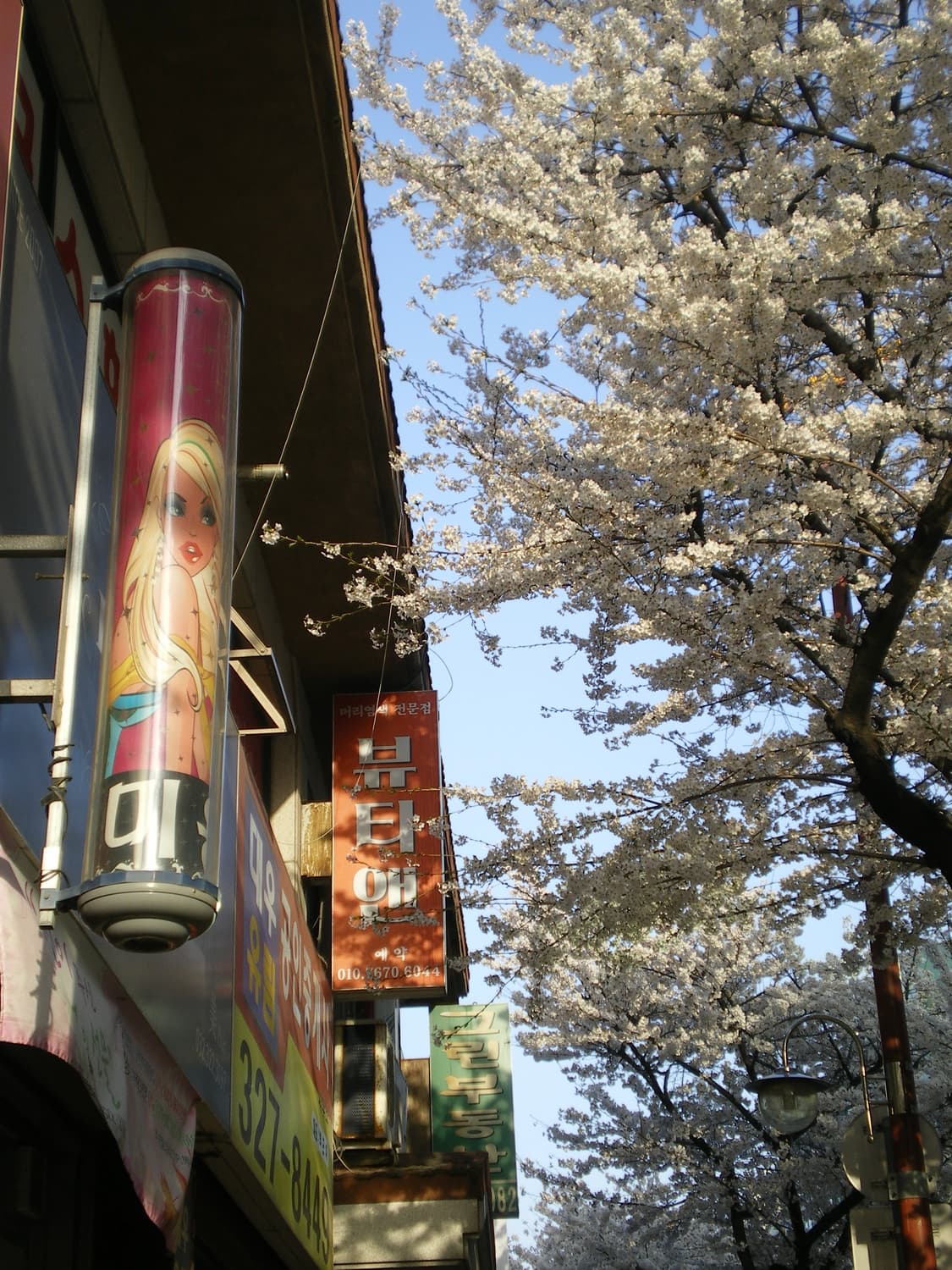 A급🍎 Canon G9랑 비슷! Pentax Optio V10 상품이미지9