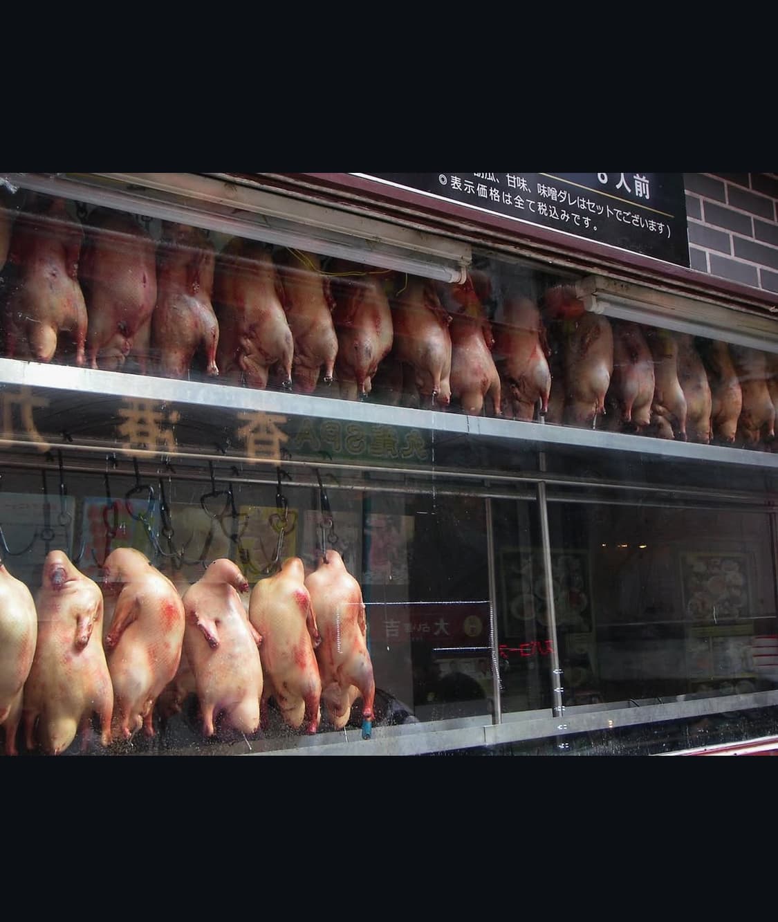 코니카 미놀타 디마지 xg 디지털카메라  상품이미지8