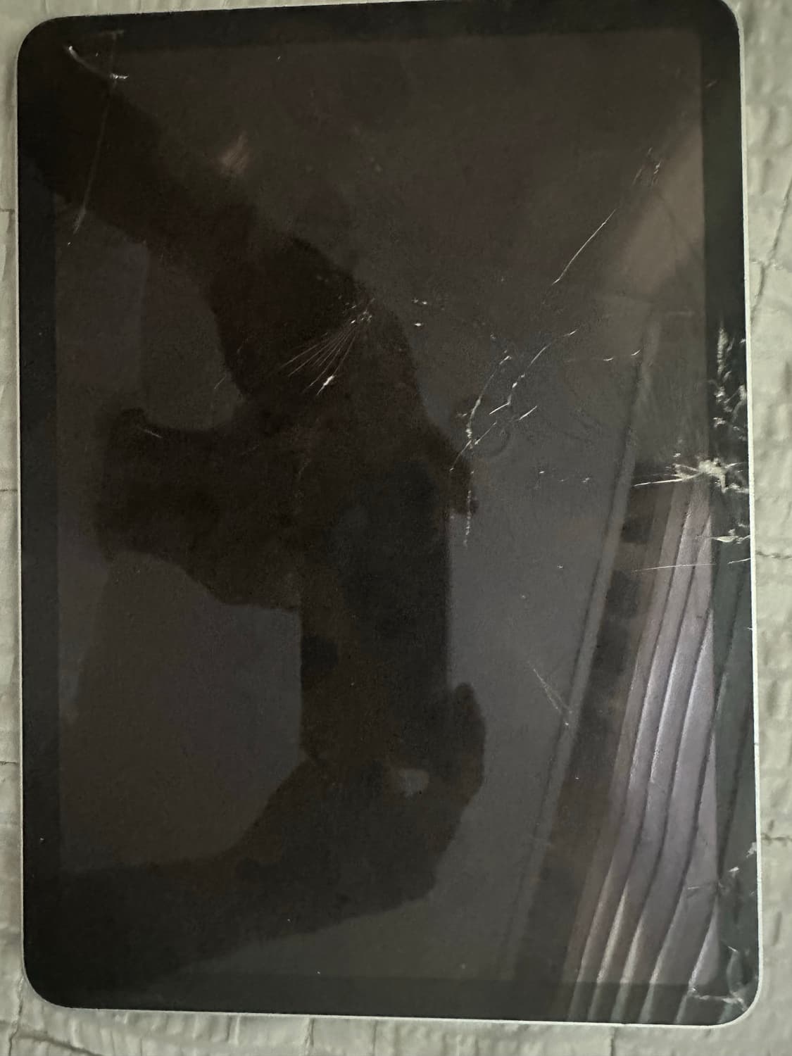 아이패드  에어6 M2  128기가 상품이미지2