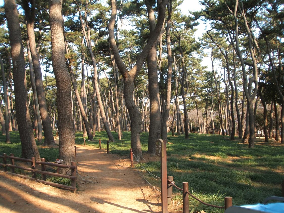 후지필름 파인픽스 F450 상품이미지8