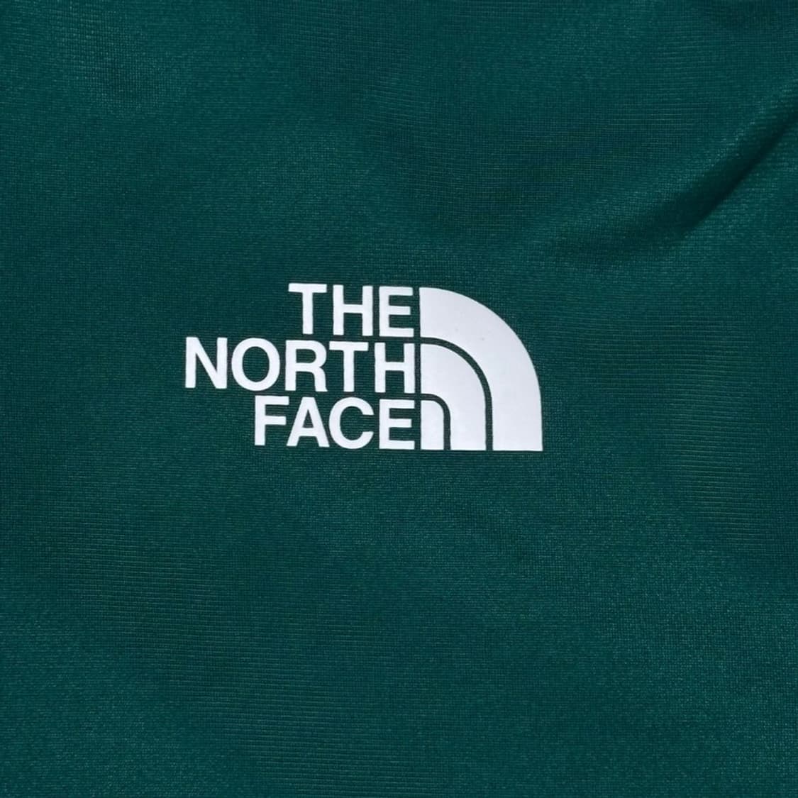 THE NORTH FACE 저지 그린 XL 상품이미지3