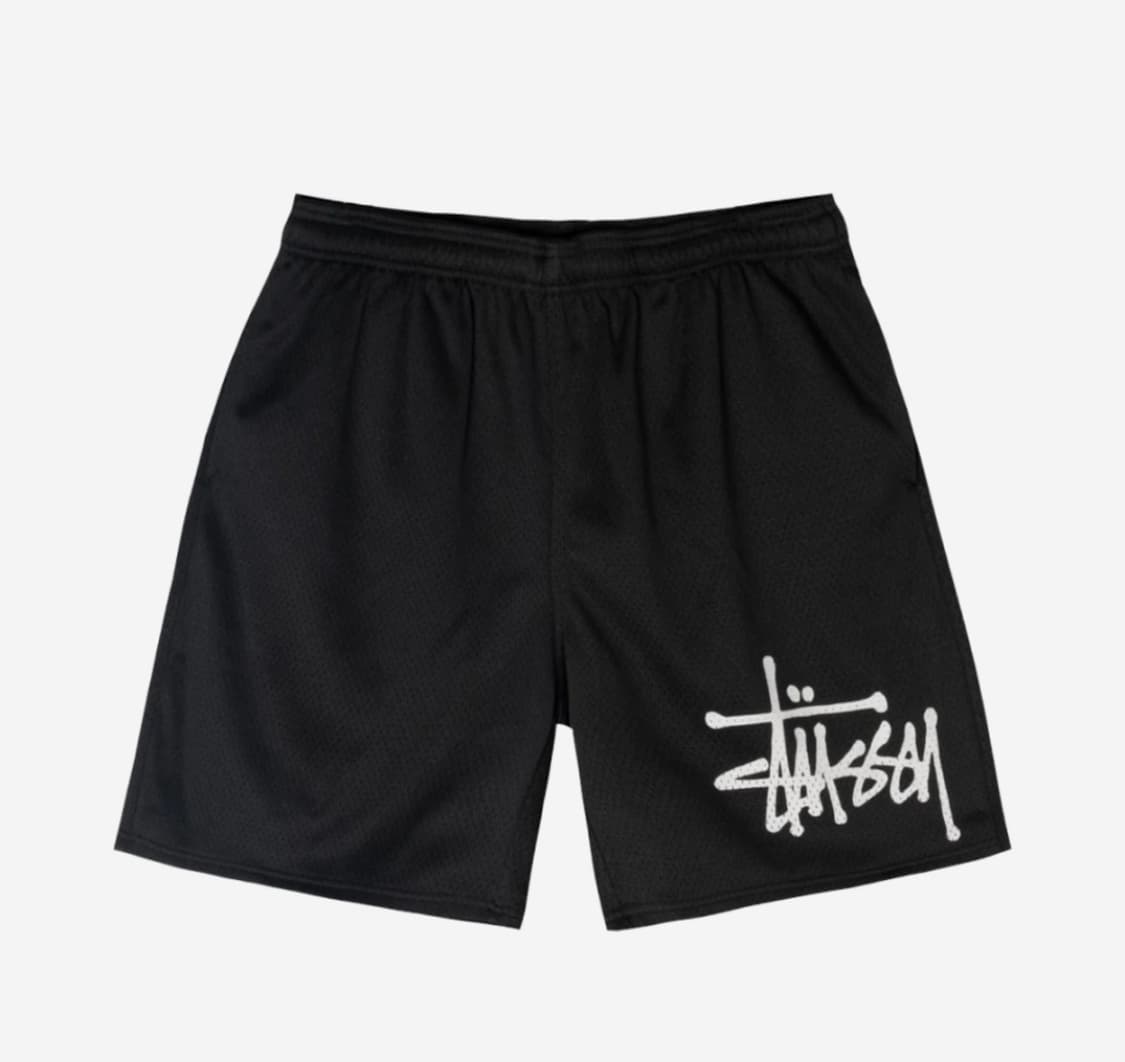 L 스투시 빅 베이직 메쉬 쇼츠 상품이미지1