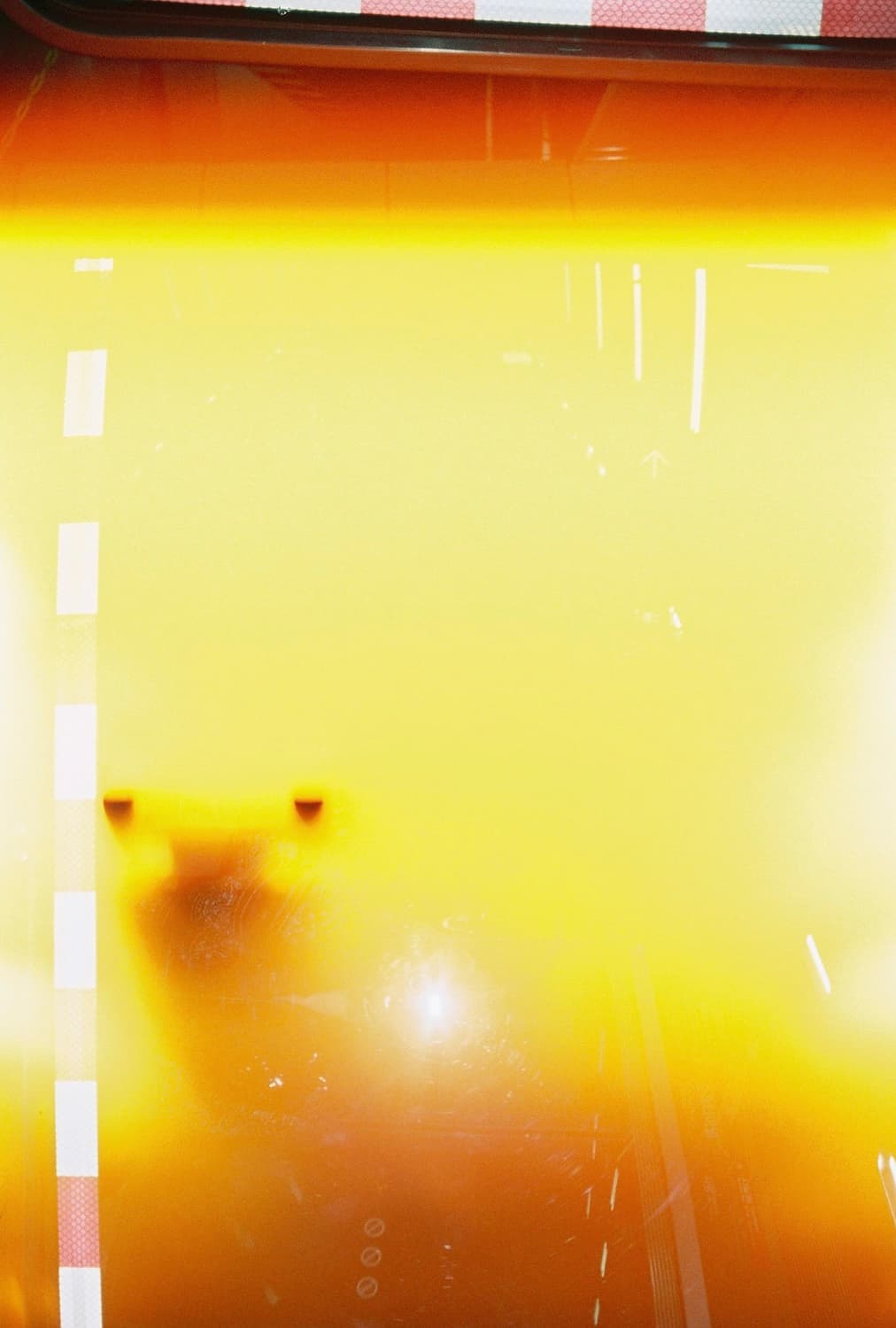 라이카c3 상품이미지10