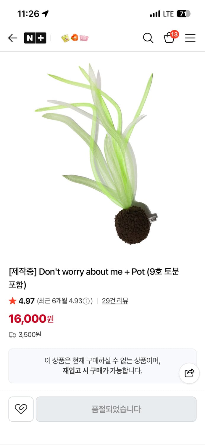 클럽비비 펠트 식물 상품이미지6