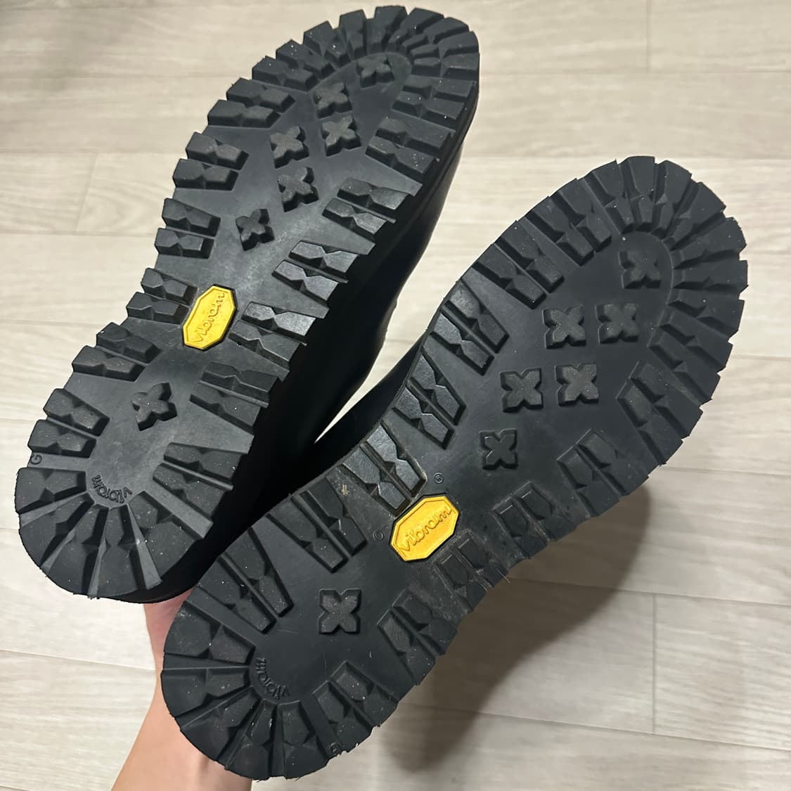 대너 마운틴라이트2 상품이미지2