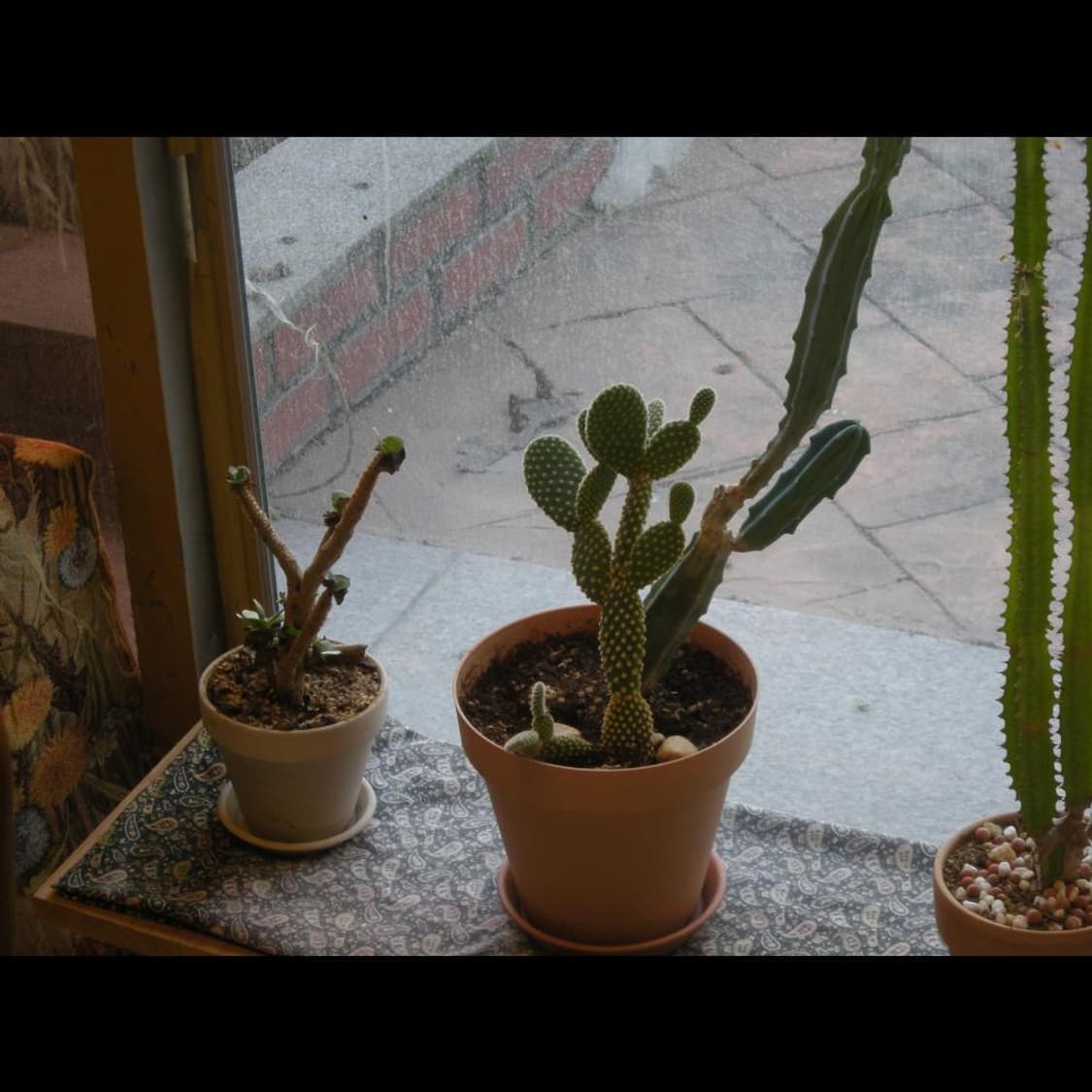 작례⭕️ 니콘 쿨픽스 S510 풀박스 와인 레드❤️  상품이미지7