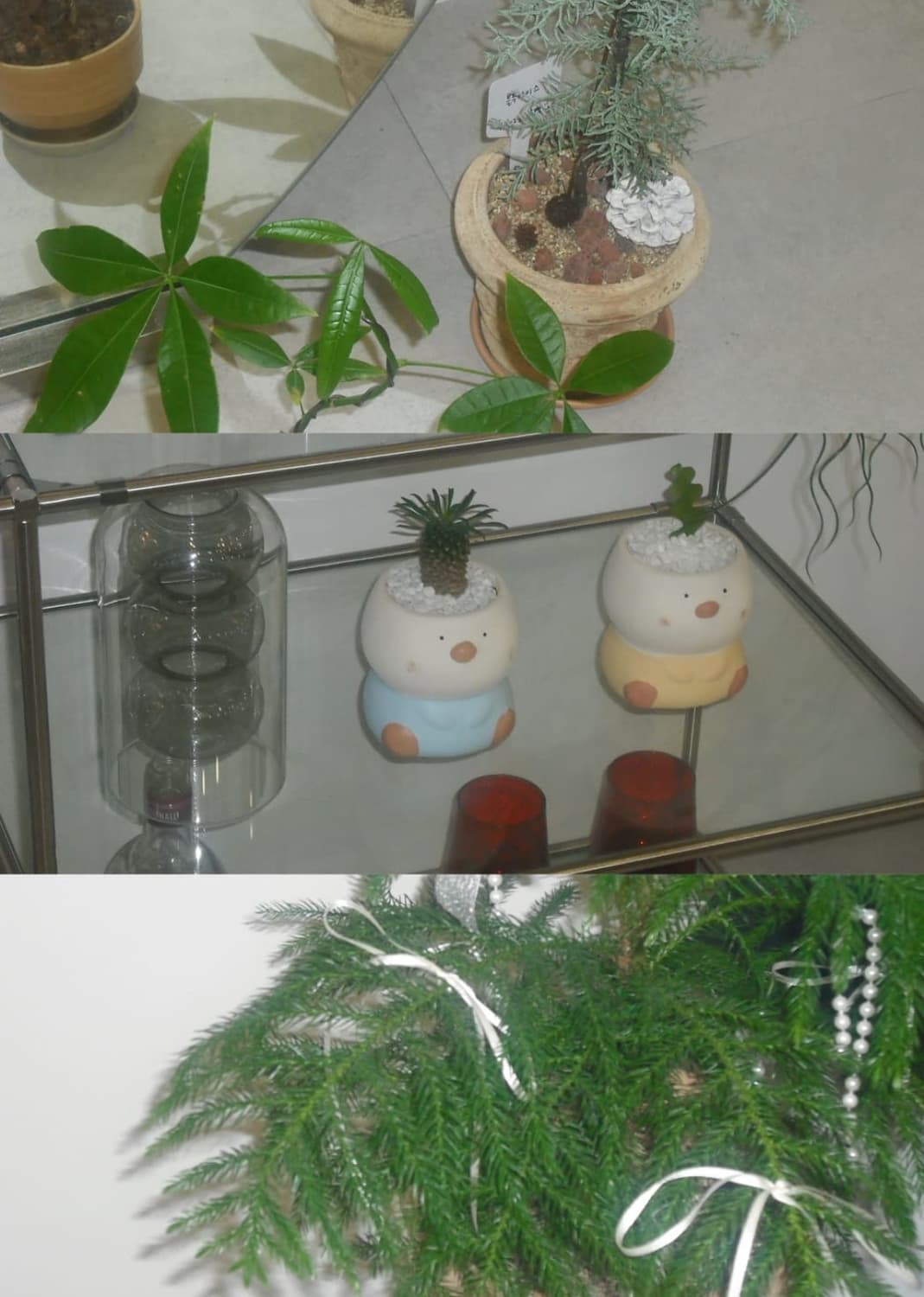 후지필름 파인픽스 j10 빈티지디카 디지털카메라 상품이미지7