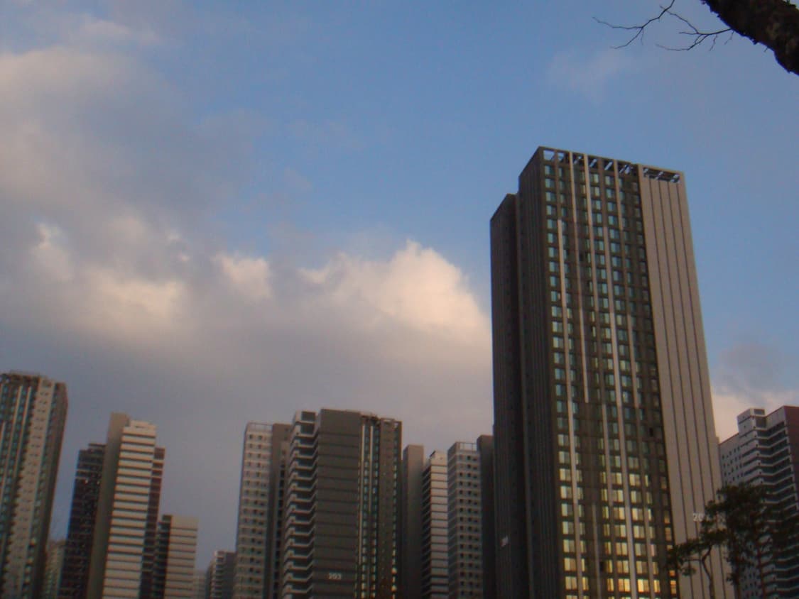 작례 O) 소니 사이버샷 dsc-t20 빈티지 디카 상품이미지4