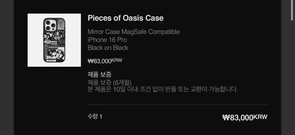 아이폰 16프로 케이스티파이 오아시스 맥세이프 상품이미지2